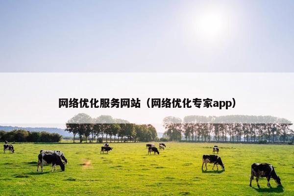 网络优化服务网站（网络优化专家app）