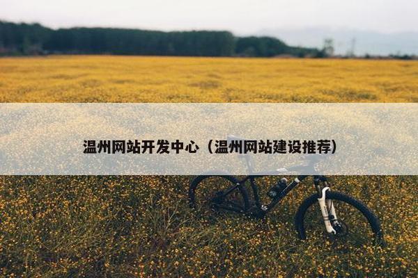 温州网站开发中心（温州网站建设推荐）