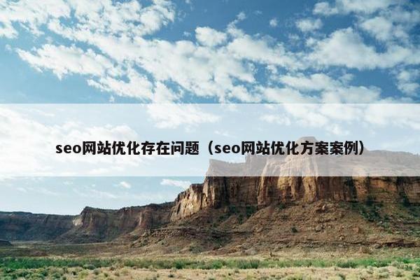 seo网站优化存在问题（seo网站优化方案案例）