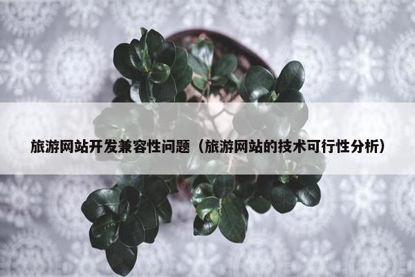 旅游网站开发兼容性问题（旅游网站的技术可行性分析）