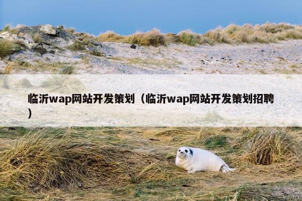 临沂wap网站开发策划（临沂wap网站开发策划招聘）