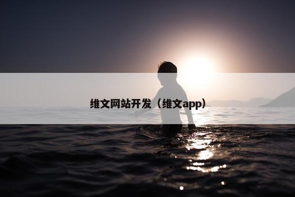 维文网站开发（维文app）