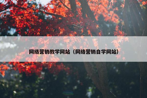 网络营销教学网站（网络营销自学网站）