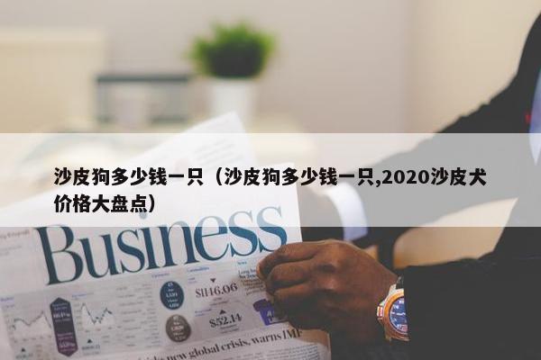 沙皮狗多少钱一只（沙皮狗多少钱一只,2020沙皮犬价格大盘点）