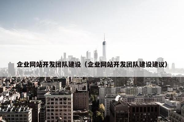 企业网站开发团队建设（企业网站开发团队建设建议）