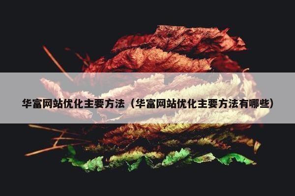 华富网站优化主要方法（华富网站优化主要方法有哪些）