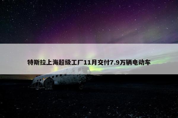 特斯拉上海超级工厂11月交付7.9万辆电动车