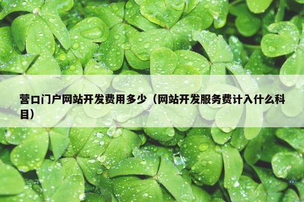 营口门户网站开发费用多少（网站开发服务费计入什么科目）