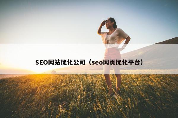 SEO网站优化公司（seo网页优化平台）