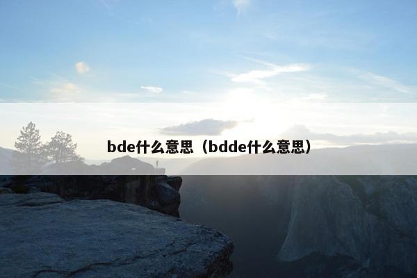 bde什么意思（bdde什么意思）