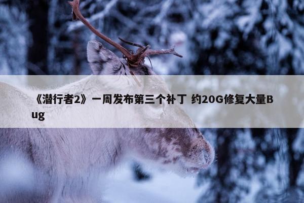 《潜行者2》一周发布第三个补丁 约20G修复大量Bug