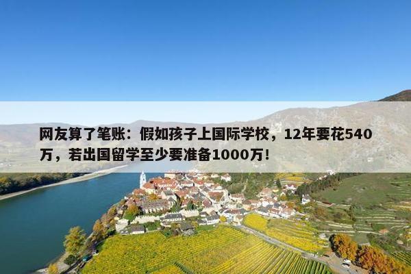 网友算了笔账：假如孩子上国际学校，12年要花540万，若出国留学至少要准备1000万！