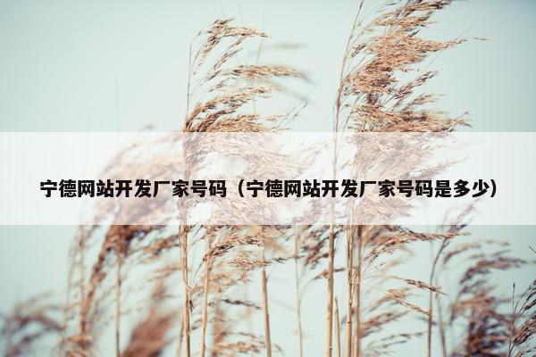 宁德网站开发厂家号码（宁德网站开发厂家号码是多少）