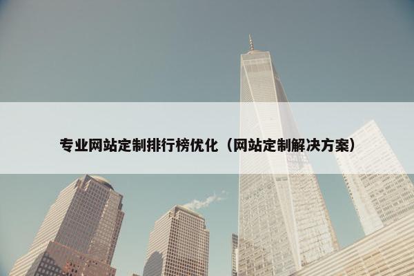 专业网站定制排行榜优化（网站定制解决方案）