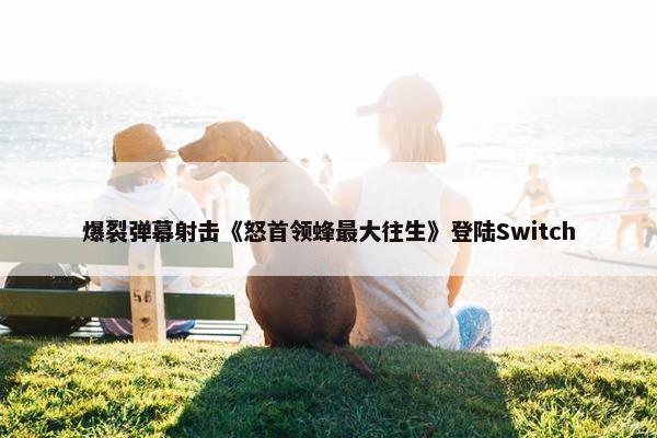 爆裂弹幕射击《怒首领蜂最大往生》登陆Switch