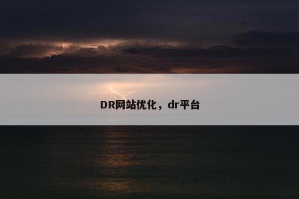 DR网站优化，dr平台