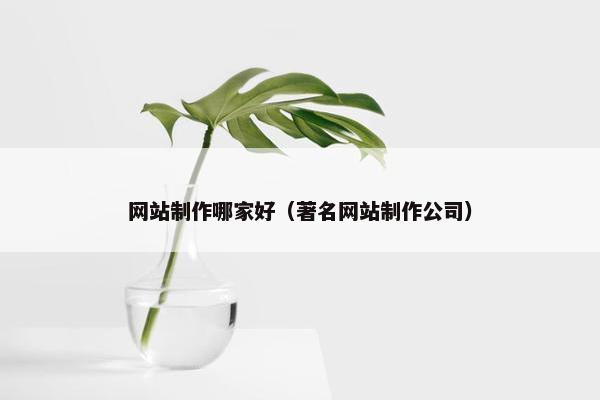 网站制作哪家好（著名网站制作公司）