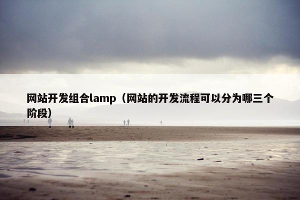 网站开发组合lamp（网站的开发流程可以分为哪三个阶段）