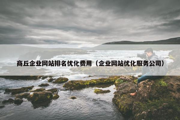 商丘企业网站排名优化费用（企业网站优化服务公司）