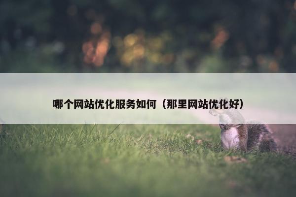 哪个网站优化服务如何（那里网站优化好）