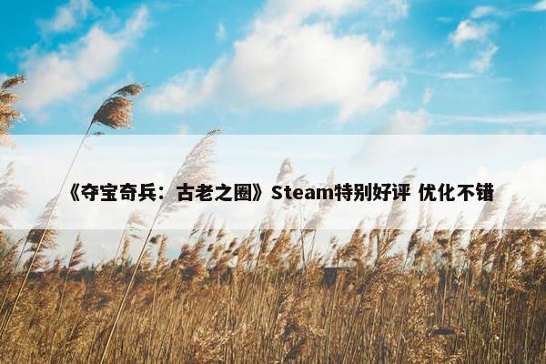 《夺宝奇兵：古老之圈》Steam特别好评 优化不错