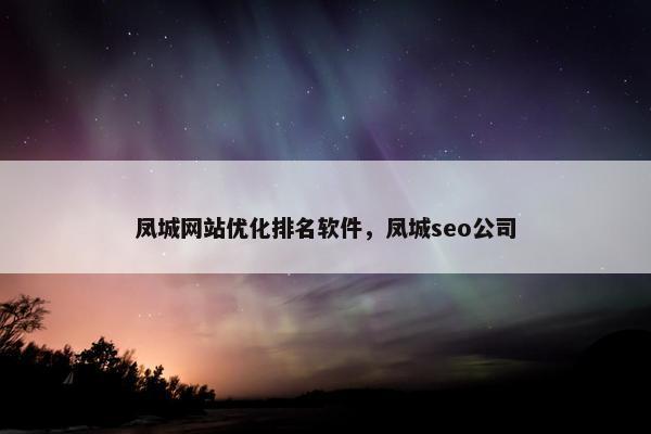 凤城网站优化排名软件，凤城seo公司