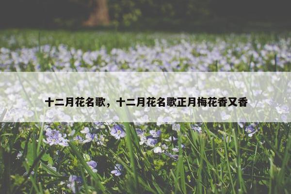 十二月花名歌，十二月花名歌正月梅花香又香