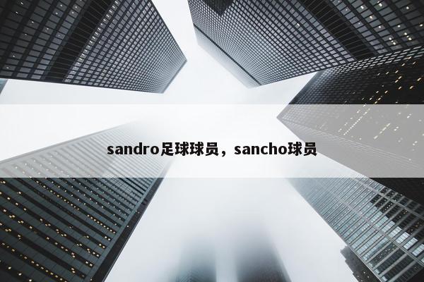 sandro足球球员，sancho球员