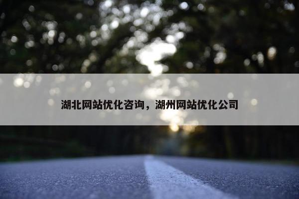 湖北网站优化咨询，湖州网站优化公司