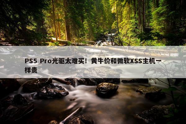 PS5 Pro光驱太难买！黄牛价和微软XSS主机一样贵