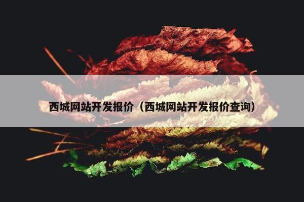 西城网站开发报价（西城网站开发报价查询）