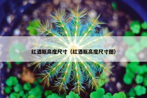 红酒瓶高度尺寸（红酒瓶高度尺寸图）