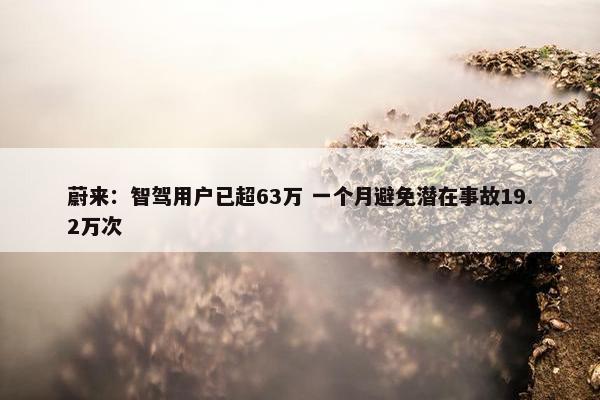 蔚来：智驾用户已超63万 一个月避免潜在事故19.2万次