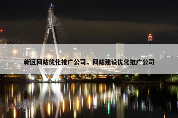 新区网站优化推广公司，网站建设优化推广公司