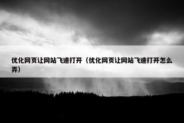 优化网页让网站飞速打开（优化网页让网站飞速打开怎么弄）