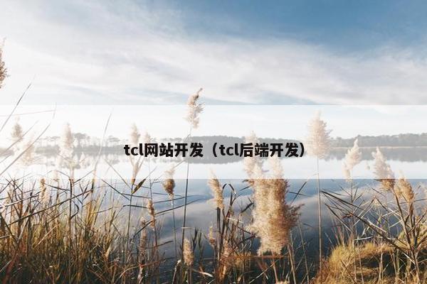 tcl网站开发（tcl后端开发）