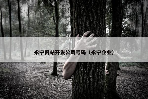 永宁网站开发公司号码（永宁企业）