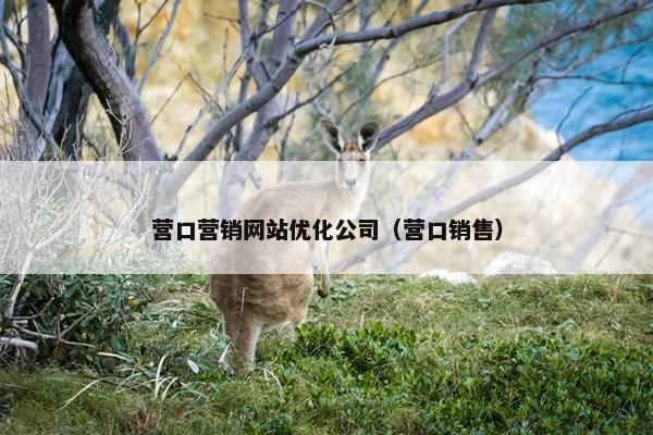 营口营销网站优化公司（营口销售）