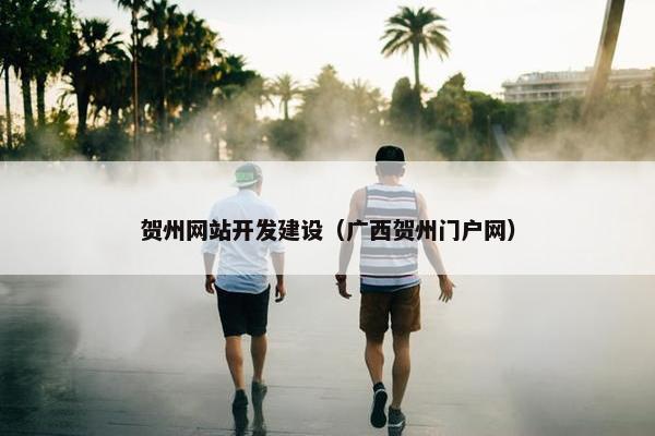 贺州网站开发建设（广西贺州门户网）