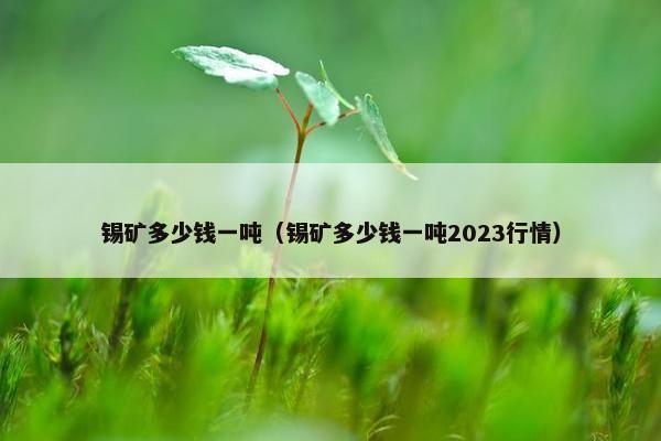 锡矿多少钱一吨（锡矿多少钱一吨2023行情）