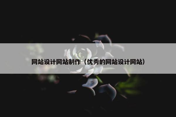 网站设计网站制作（优秀的网站设计网站）