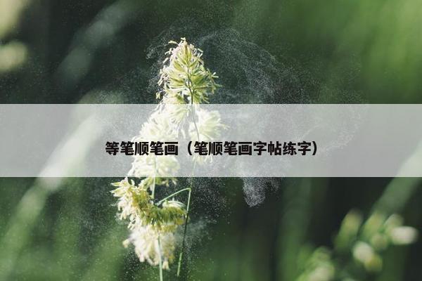 等笔顺笔画（笔顺笔画字帖练字）