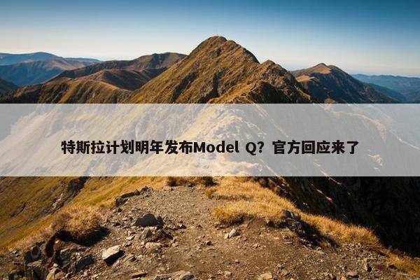 特斯拉计划明年发布Model Q？官方回应来了