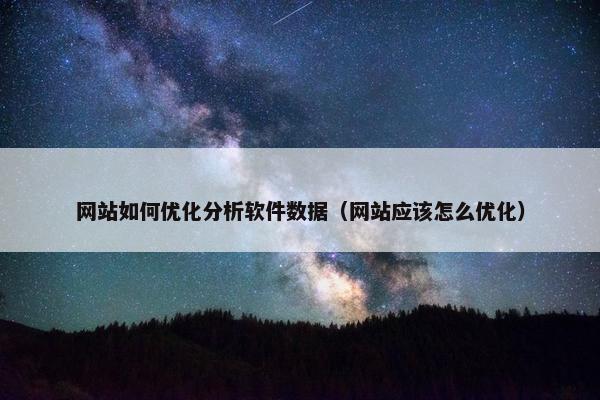 网站如何优化分析软件数据（网站应该怎么优化）