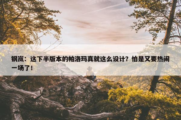 钢岚：这下半版本的帕洛玛真就这么设计？怕是又要热闹一场了！