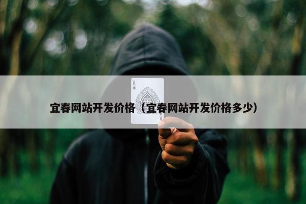 宜春网站开发价格（宜春网站开发价格多少）