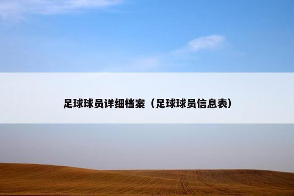 足球球员详细档案（足球球员信息表）