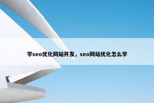 学seo优化网站开发，seo网站优化怎么学