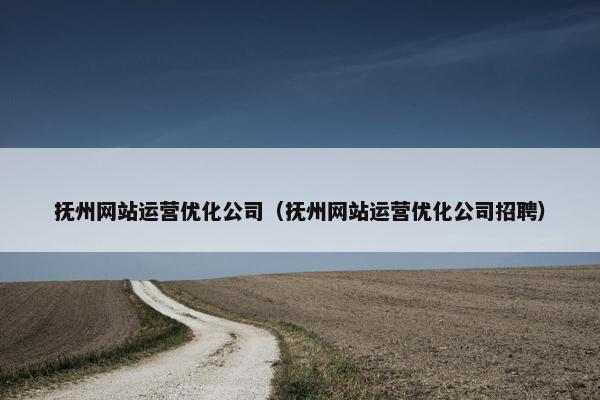 抚州网站运营优化公司（抚州网站运营优化公司招聘）