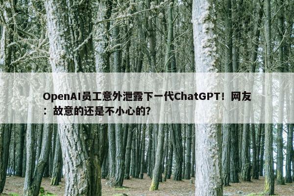 OpenAI员工意外泄露下一代ChatGPT！网友：故意的还是不小心的？